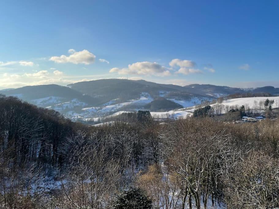 Traumhafter Blick Mit Wohnung Lindenfels Екстериор снимка